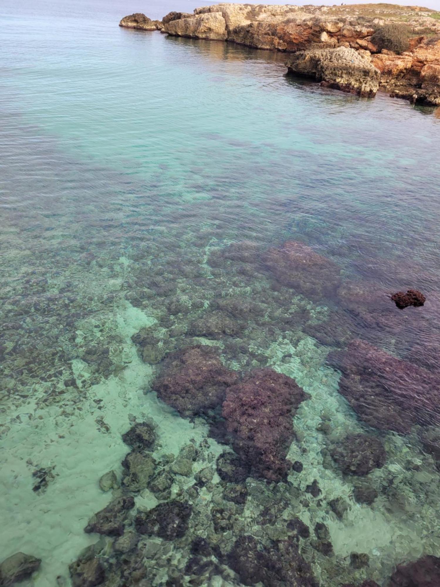 Cala Paradiso โมโนโปลี ภายนอก รูปภาพ