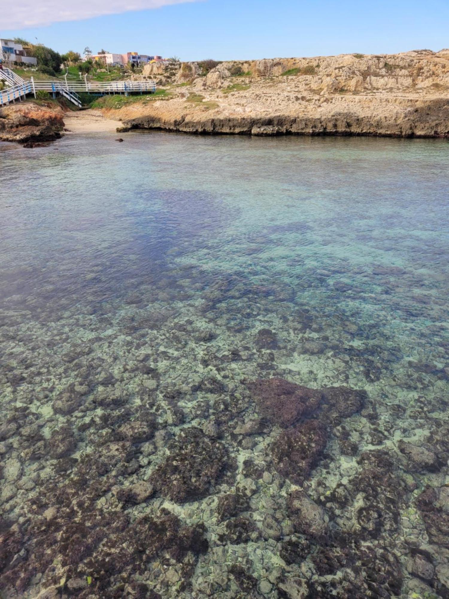 Cala Paradiso โมโนโปลี ภายนอก รูปภาพ