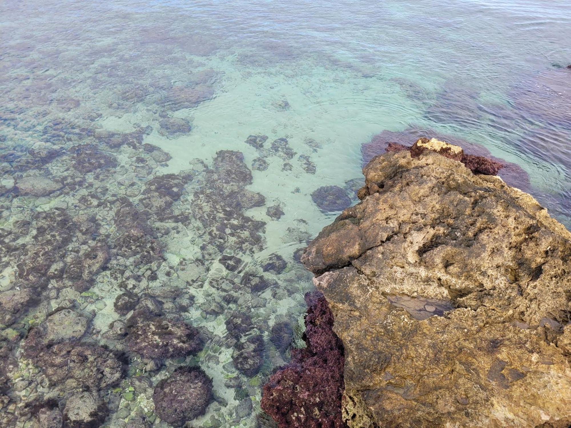 Cala Paradiso โมโนโปลี ภายนอก รูปภาพ